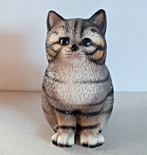 😻Harvey Knox HK Katze