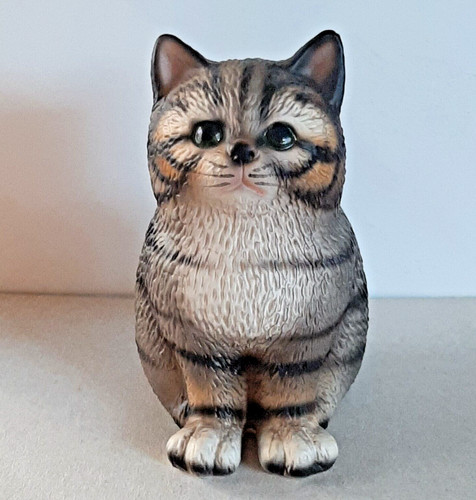 Harvey knox katze - 😻harvey,