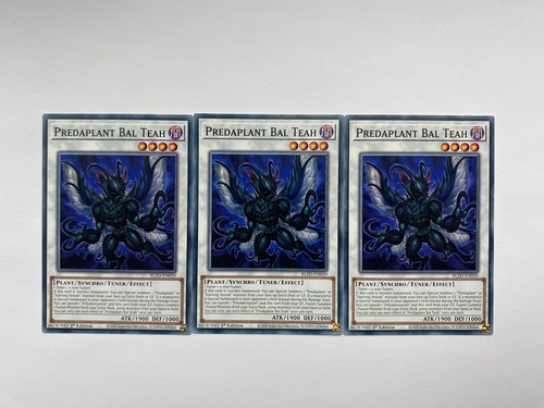 Blzd de039 predaplant - -,