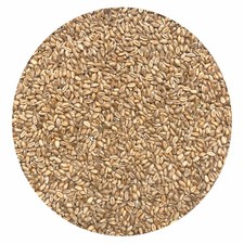 Weizen 25 kg - Futterweizen