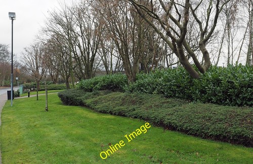 Foto 12x8 gartenfläche - foto,