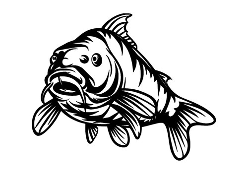 Aufkleber carp karpfen fisch - aufkleber,