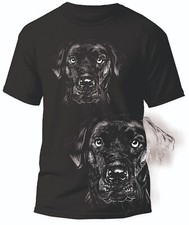 Labrador Labbi Retriever Hunde