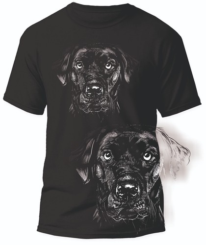 Labrador labbi retriever hunde - labrador,