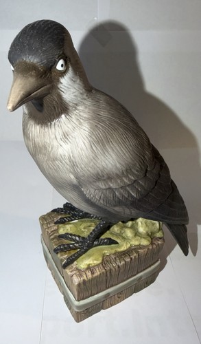 Göbel dohle vogel - göbel, des