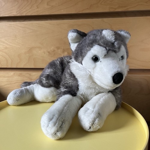 Animal alley husky hund - alley, r