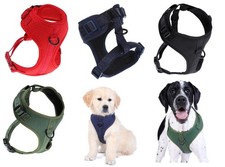 DOOG Neosport Neopren