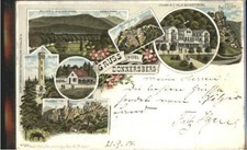 Donnersberg Moltkefels