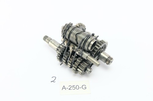 Aprilia 125 rotax - rotax, 123