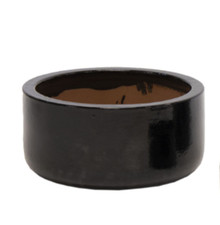 NEU! Große Pflanzschale