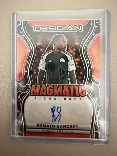 Panini obsidian 2025 renato - panini,