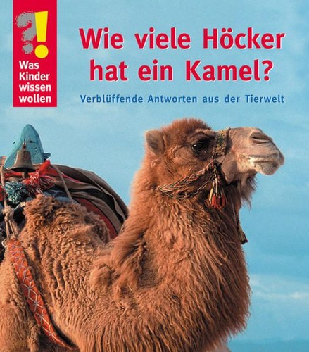 Wie viele höcker hat - hat, ein