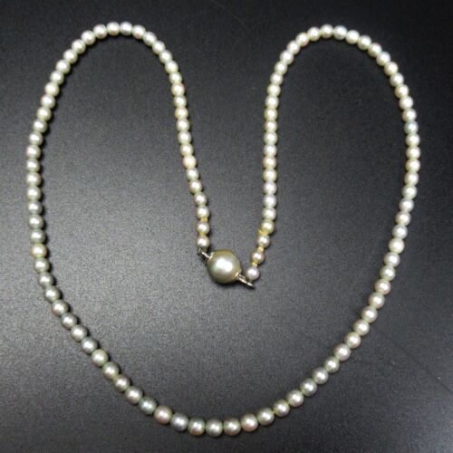 Koehle pearl necklace - pearl,