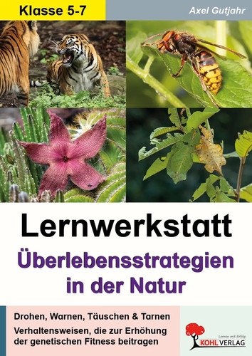 Lernwerkstatt