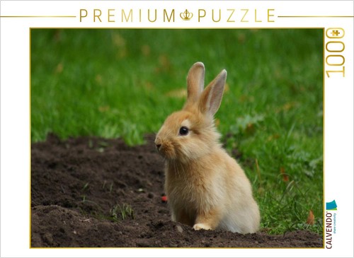 Calvendo puzzle braunes - calvendo,