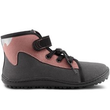 Leguano Leguanito Scippo