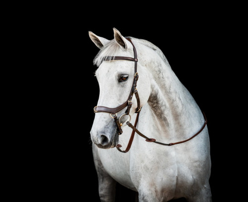 Horseware micklem multi - micklem®, 2