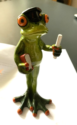 Deko froschfigur bachelor - deko-froschfigur, -bachelor-