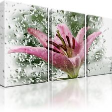 Lilie Glas Tropfen Wasser Bild 3 Teilig Bilder Wandbild Kunstdruck