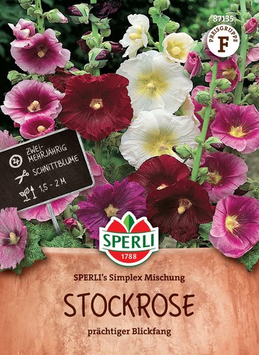 Stockrose sperli simplex - stockrose, 'sperli's