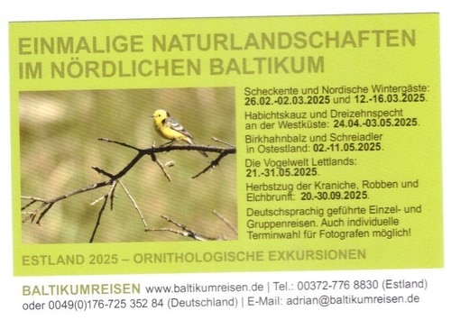 Werbekarte naturlandschaften - werbekarte,