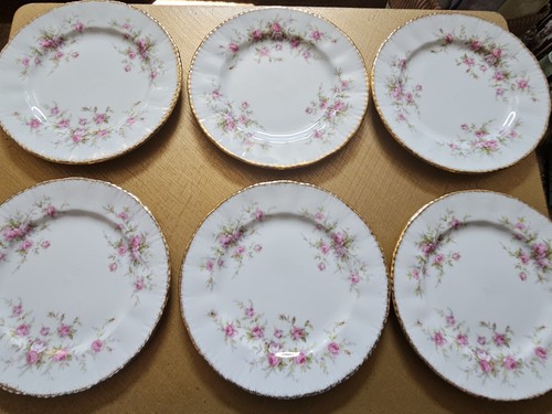 Paragon victoriana rose - paragon,