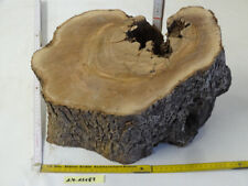 Olive Wurzelholz Drechselholz