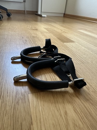Reitsporen mit sporenriemen - sporenriemen, &