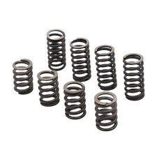 Kupplungsfedern Satz