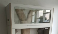 Terrarium ( als Terraiumrack