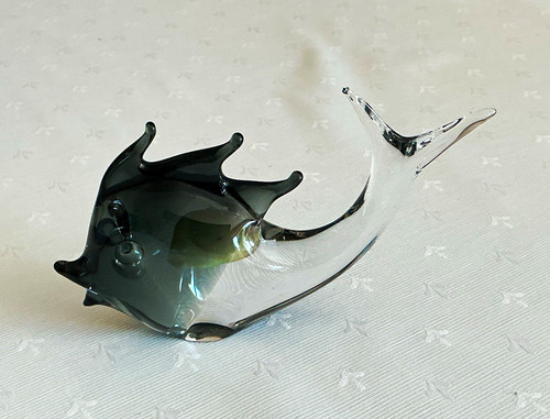 Glasfisch - ,