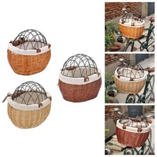 Langlebiger Haustier Katzen