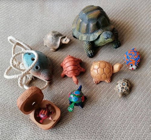 Schildkröten sammlung - schildkröten,