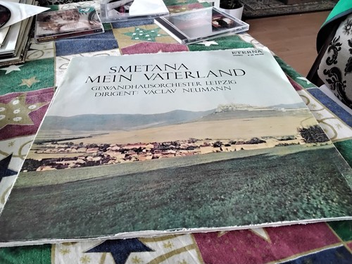 Vinyl smetana mein - vinyl,