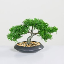 Kunstpflanze Zedem Bonsai