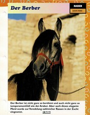 Der Berber (Leichte Pferde) - Infokarte