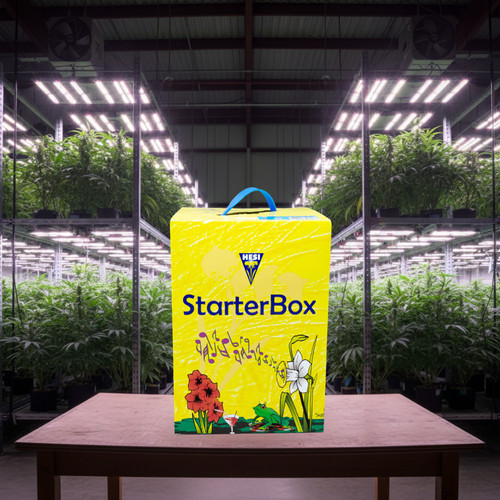 Hesi starterbox erde l - hesi,