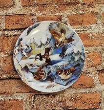 Wandteller Sammelteller