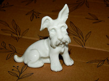 Wien Augarten Junger Scotch