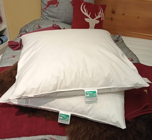 Kopfkissen daune daunenkissen - kopfkissen,