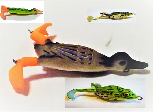 Kraut oberflächen gummi - oberflächen,