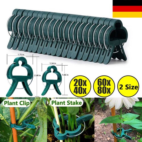100x pflanzenclips große - 100x,