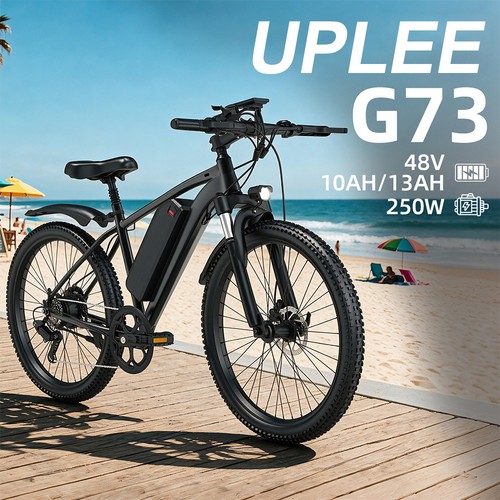 Zoll elektrofahrrad 250w - 26,