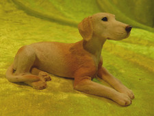 Labrador  Castagna 1992, Italy,  5,5 cm