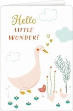 Hello Little Wonder