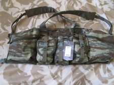 Arktis armee echse - arktis,