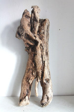Schwemmholz treibholz skulptur - schwemmholz,