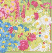 Plantes Vivaces Pierre Frey