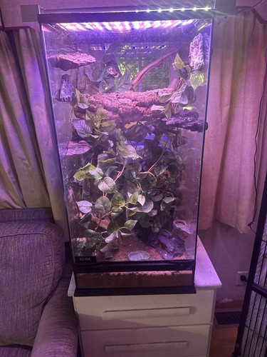 Exo terra glass terrarium - terra,