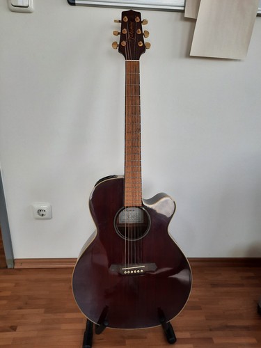 Takamine elektroakustikgitarre - takamine,